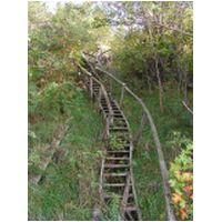 old wooden stairs.JPG